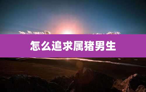 怎么追求属猪男生