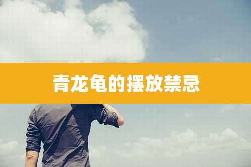 青龙龟的摆放禁忌