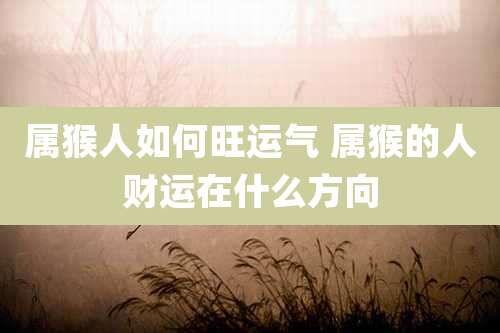 属猴人如何旺运气 属猴的人财运在什么方向