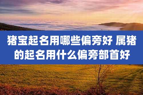 猪宝起名用哪些偏旁好 属猪的起名用什么偏旁部首好