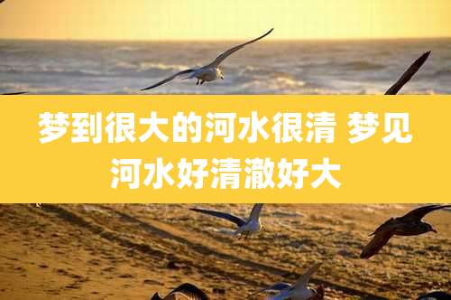 梦到很大的河水很清 梦见河水好清澈好大