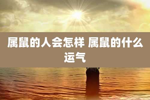 属鼠的人会怎样 属鼠的什么运气