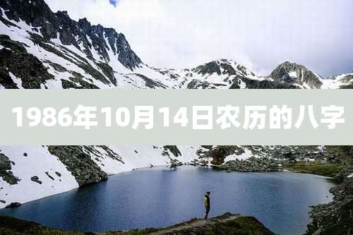 1986年10月14日农历的八字