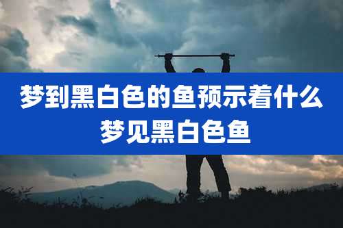 梦到黑白色的鱼预示着什么 梦见黑白色鱼