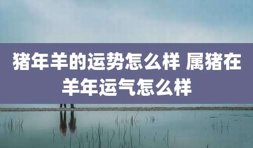猪年羊的运势怎么样 属猪在羊年运气怎么样