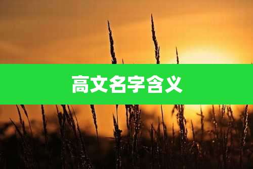 高文名字含义
