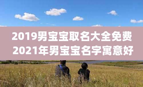 2019男宝宝取名大全免费 2021年男宝宝名字寓意好