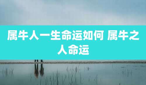 属牛人一生命运如何 属牛之人命运