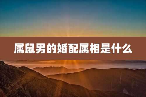 属鼠男的婚配属相是什么