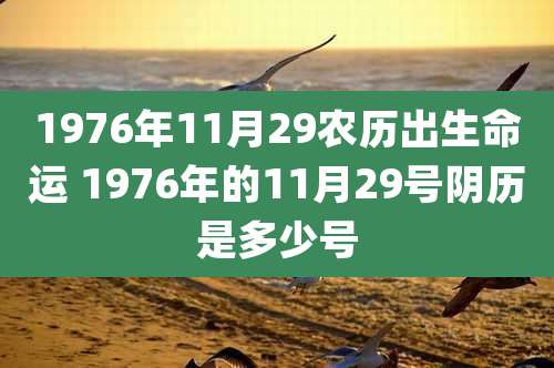 1976年11月29农历出生命运 1976年的11月29号阴历是多少号