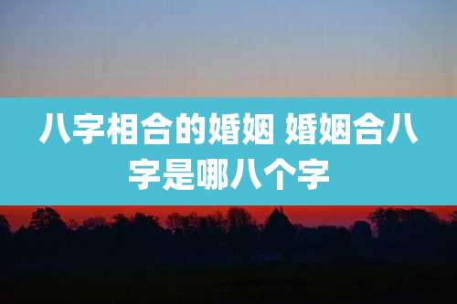 八字相合的婚姻 婚姻合八字是哪八个字