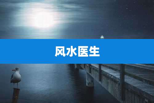风水医生