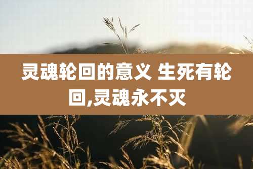 灵魂轮回的意义 生死有轮回,灵魂永不灭