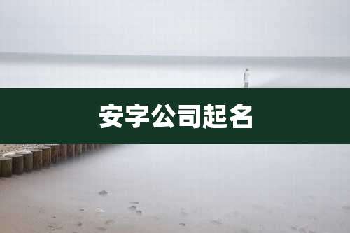 安字公司起名