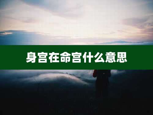 身宫在命宫什么意思