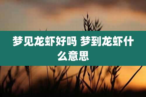 梦见龙虾好吗 梦到龙虾什么意思