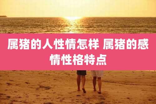属猪的人性情怎样 属猪的感情性格特点