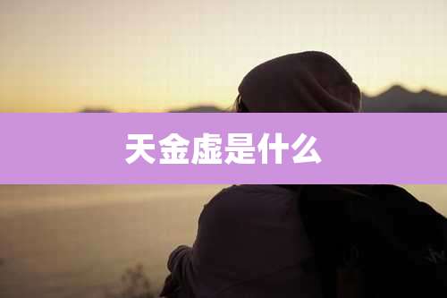 天金虚是什么