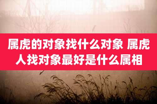 属虎的对象找什么对象 属虎人找对象最好是什么属相