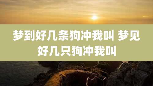 梦到好几条狗冲我叫 梦见好几只狗冲我叫