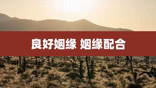 良好姻缘 姻缘配合