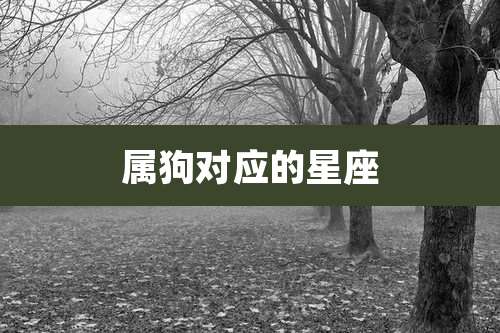 属狗对应的星座