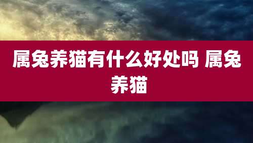属兔养猫有什么好处吗 属兔 养猫