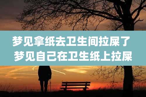 梦见拿纸去卫生间拉屎了 梦见自己在卫生纸上拉屎