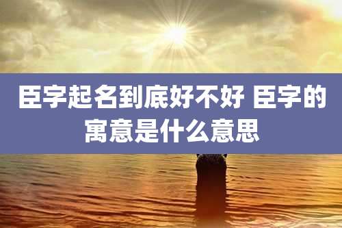臣字起名到底好不好 臣字的寓意是什么意思