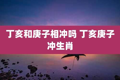 丁亥和庚子相冲吗 丁亥庚子冲生肖