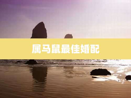 属马鼠最佳婚配