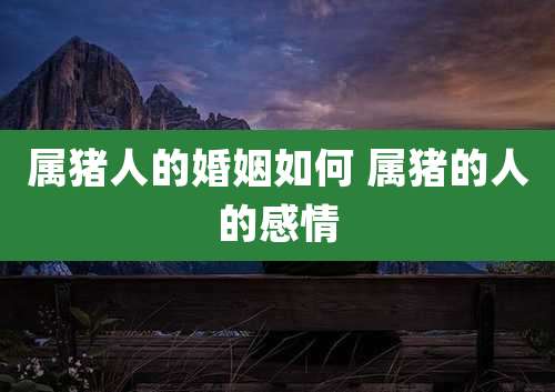 属猪人的婚姻如何 属猪的人的感情