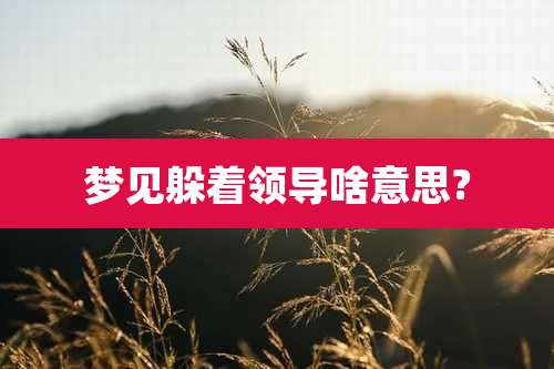 梦见躲着领导啥意思?