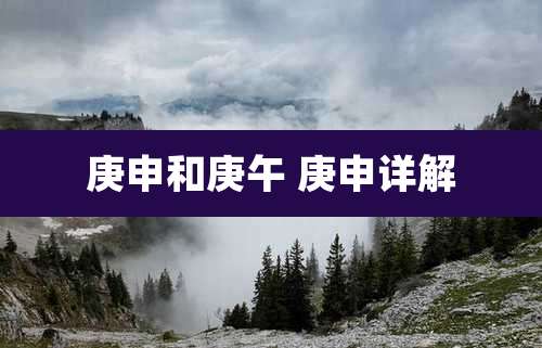 庚申和庚午 庚申详解