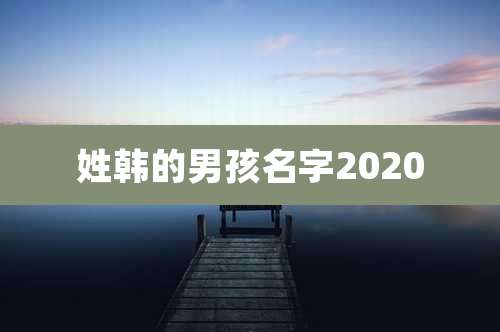 姓韩的男孩名字2020