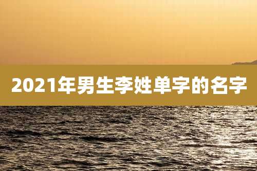 2021年男生李姓单字的名字