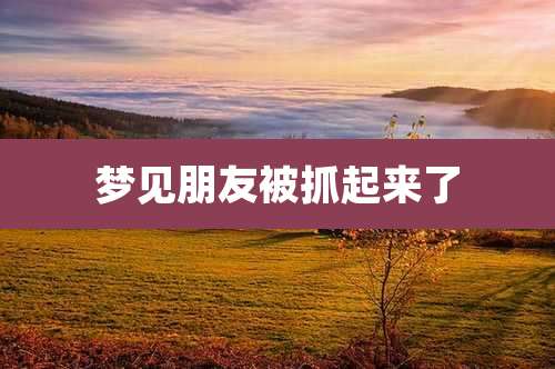 梦见朋友被抓起来了