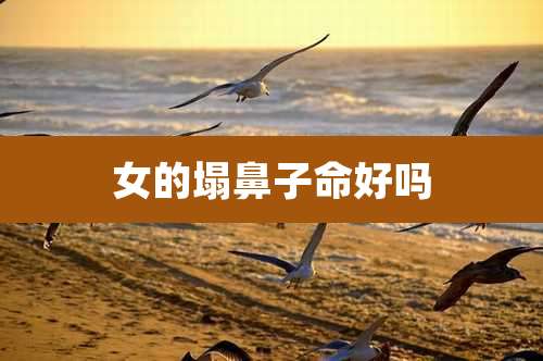 女的塌鼻子命好吗