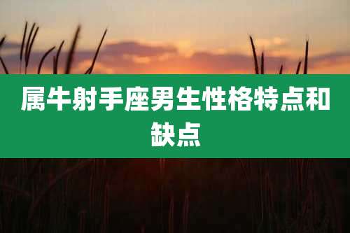属牛射手座男生性格特点和缺点