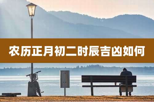 农历正月初二时辰吉凶如何