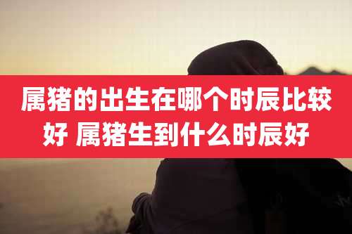 属猪的出生在哪个时辰比较好 属猪生到什么时辰好