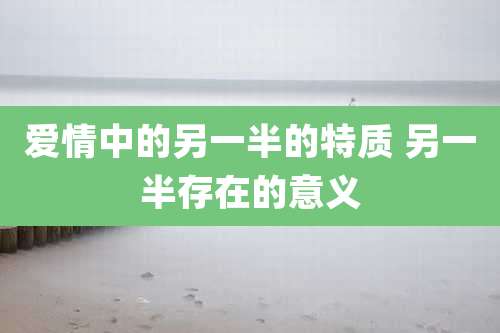 爱情中的另一半的特质 另一半存在的意义