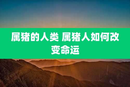 属猪的人类 属猪人如何改变命运