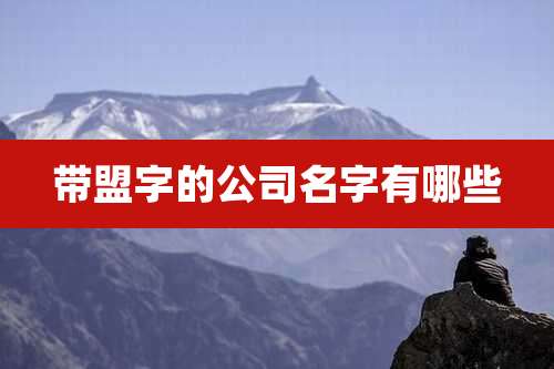 带盟字的公司名字有哪些