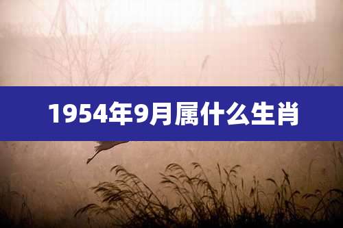 1954年9月属什么生肖