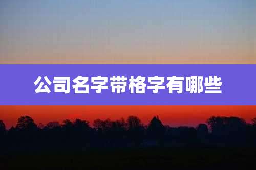 公司名字带格字有哪些