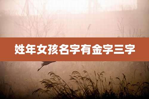 姓年女孩名字有金字三字