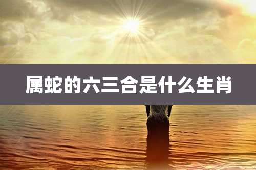 属蛇的六三合是什么生肖