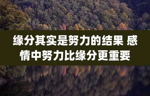 缘分其实是努力的结果 感情中努力比缘分更重要