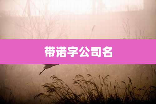 带诺字公司名